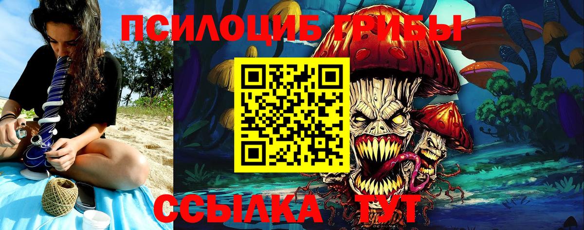 Галлюциногенные грибы Psilocybine cubensis Волжский